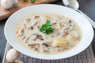 plate of vegetarian mushroom soup