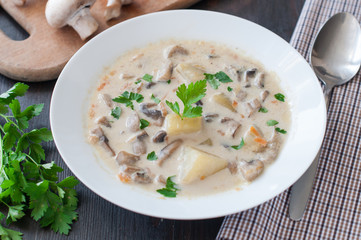 plate of vegetarian mushroom soup