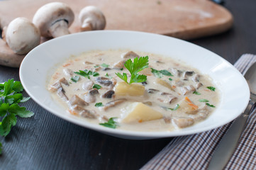 plate of vegetarian mushroom soup