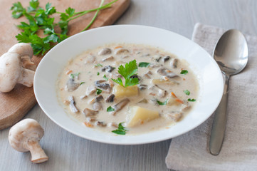 plate of vegetarian mushroom soup