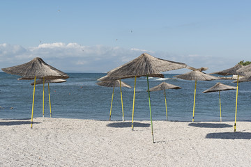 Fototapeta premium wicker beach umbrellas on a shell beach