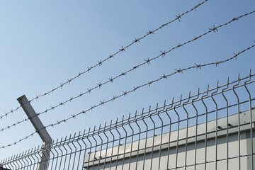 Wired fence with rolled barbed wires fence..