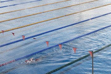 swimmers in waterpool