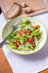 salad with lettuce leaves, cucumber and tomatoes
