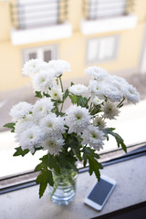 fresh chrysanthemum in vase on the window sill