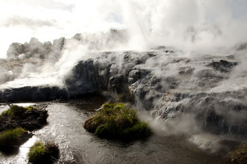 Pohutu Geyser - Rotorua - New Zealand