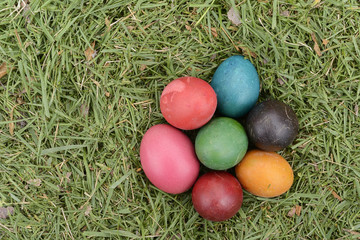 easter eggs on grass