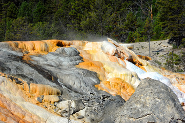 Mammoth Hot Springs  steams with thermal heat in Yellowstone National Park.