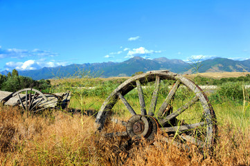 Abandoned long ago, this broken and discarded wagon, sits overgrown with weeds in Paradise Valley, Montana.  Wagon faces the Absaroka Mountains.