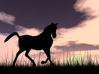 Obraz na płótnie Canvas Horse silhouette in grass at sunset