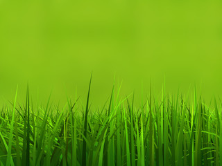 Conceptual green 3d grass field or lawn on green background