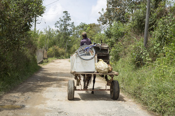 Carreta con caballo y reciclaje.  © Luis Echeverri Urrea