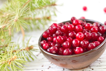 Fresh cranberry in a bowl