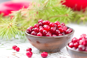 Fresh cranberry in a bowl