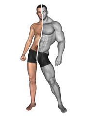 Fototapeta premium Human man thin and muscle concept isolated