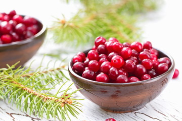 Fresh cranberry in a bowl