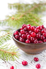Fresh cranberry in a bowl