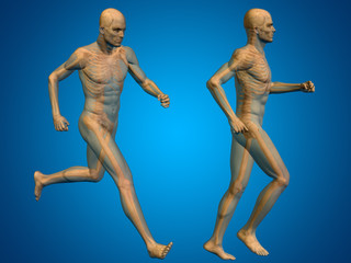 Conceptual man or human 3D anatomy or body on blue