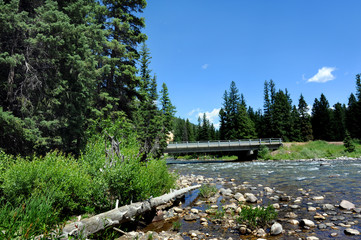 Highway bridge crosses over the Gallatin River in Gallatin Valley, Montana.  Long driftwood log lays at edge of river.