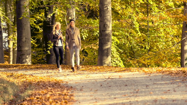 Running at park with autumn colours