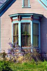 Fototapeta na wymiar Bay Window on victorian home are painted in light turquoise paint. Purple wysteria grows and blooms around window.