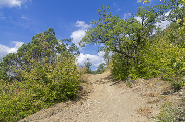 Dirt road in the Crimean mountains.