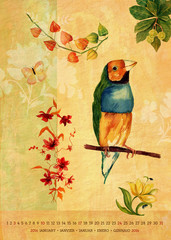 Vintage 2016 wall calendar with watercolor birds and flowers; January