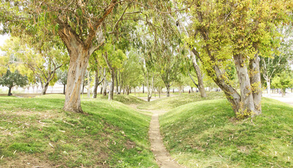 Obraz premium Jardines en Sant Adriá del Besós, Barcelona