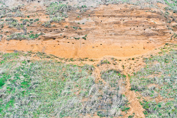 Suffolk Cliffs