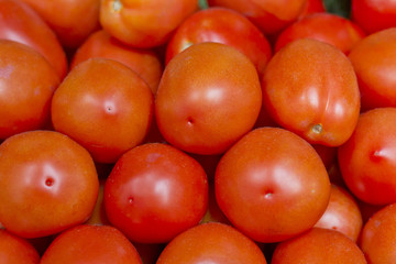 Plum Tomatoes