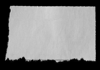 Torn paper