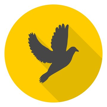 recommend clip art: Dove icon with long shadow