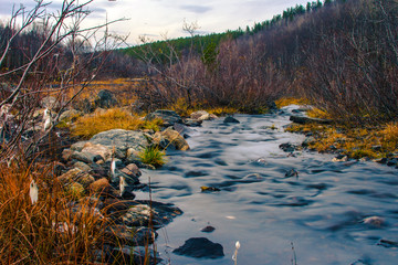 Small rocky river.A slow moving stream in a forest in autumn