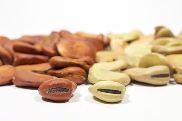 Dry seeds of broad bean of different colors, on white
