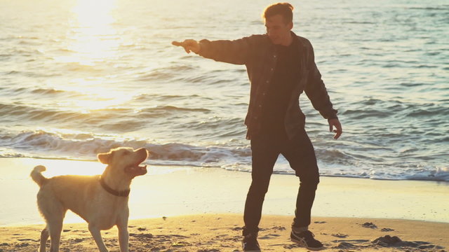young man playing with his dog on the beach slow motion