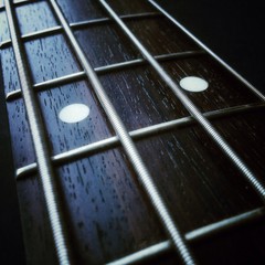 bass guitar neck closeup