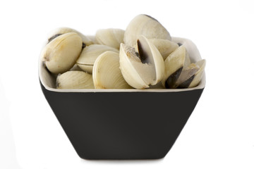 Frozen clams in black bowl,  isolated background