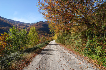 Otoño en El Bierzo
