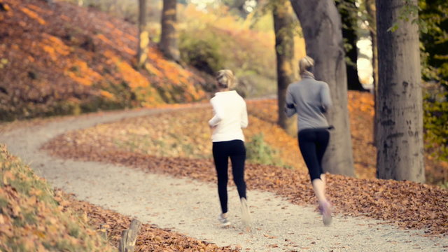 Running at park with autumn colours
