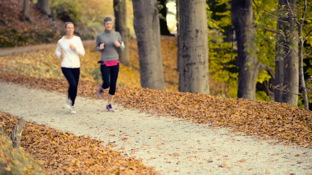 Running at park with autumn colours