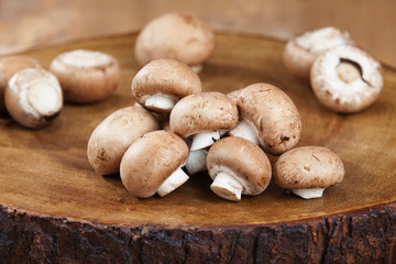 Chestnut mushroom