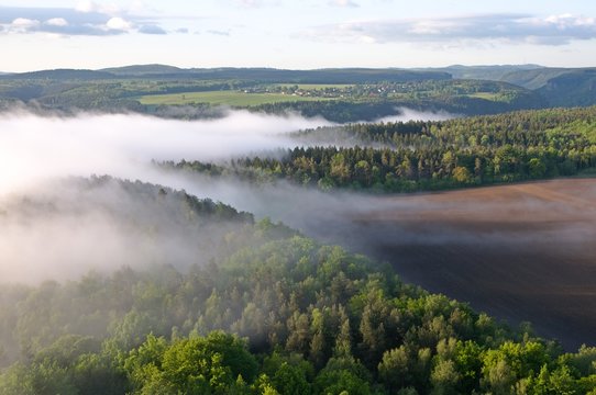 Fototapeta Canyon river Elbe with morning fog from sandstone tower Zirkelstein in Saxon Switzerland, Germany.