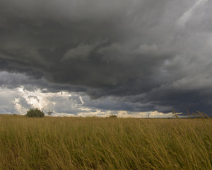 Fototapeta na wymiar dark rain clouds above murchison falls national park