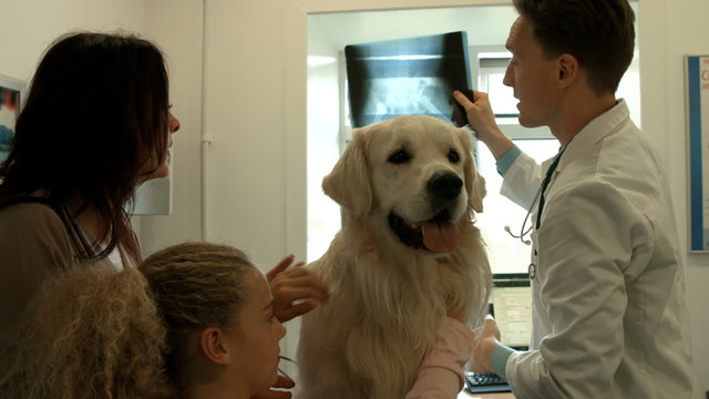 Mother and daughter with dog in the vets