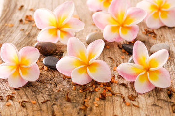 Fototapeta na wymiar frangipani with stones, petals on old wood