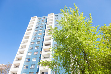 Fototapeta premium moderns Wohnhaus und Bäume