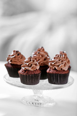 Beautiful chocolate cupcakes on table, close up