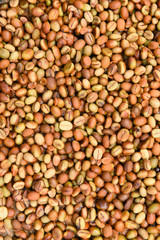 Coffee beans for backgrounds or textures