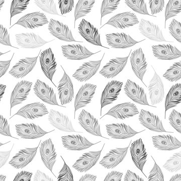 Grey Peacock Feathers Seamless Pattern