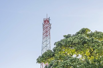 Lush Tree and  telecommunication tower and blue sky - Telecommunication mast